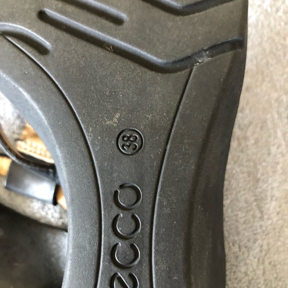 Ecco - Picture 4 of 5